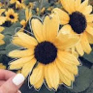 Meet your Posher, Morgan